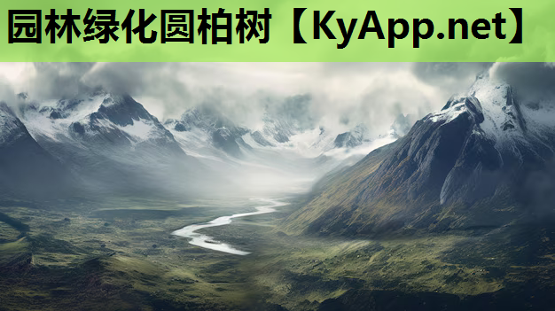 园林绿化圆柏树