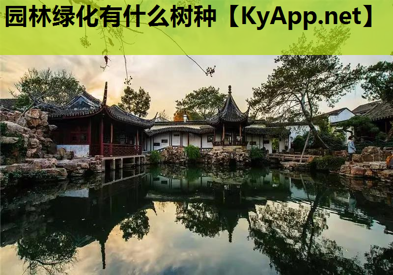 园林绿化有什么树种