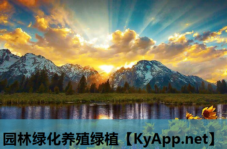 园林绿化养殖绿植