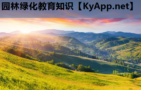 园林绿化教育知识