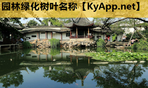 园林绿化树叶名称