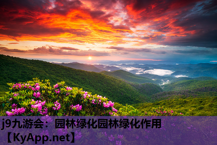 j9九游会：园林绿化园林绿化作用