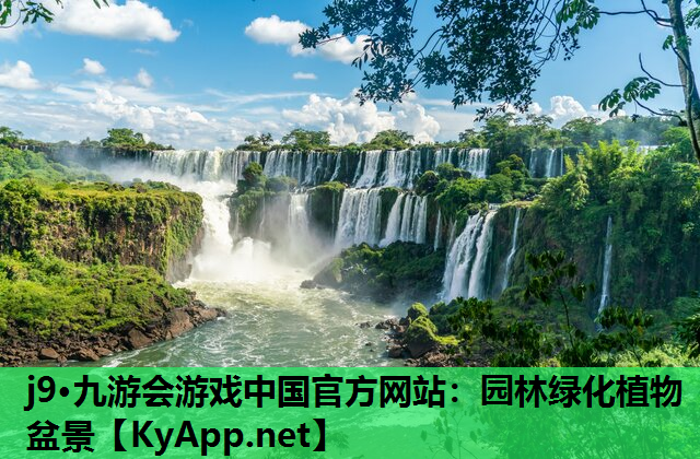 j9·九游会游戏中国官方网站：园林绿化植物盆景
