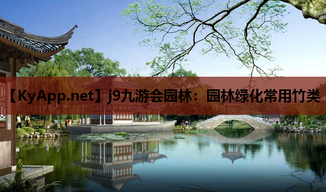 园林绿化常用竹类