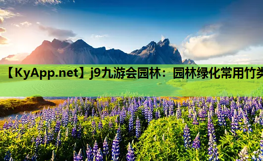 园林绿化常用竹类