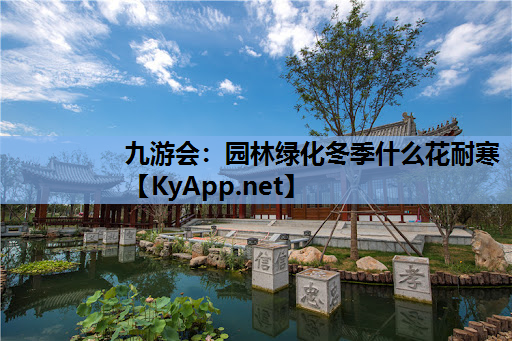 园林绿化冬季什么花耐寒