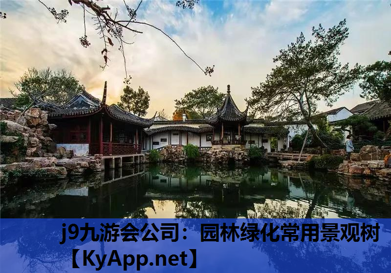 园林绿化常用景观树