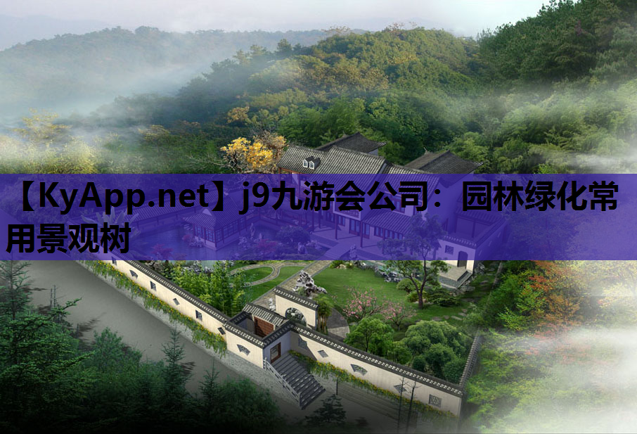 园林绿化常用景观树