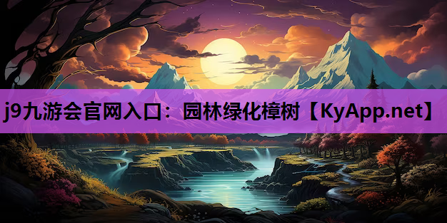 园林绿化樟树