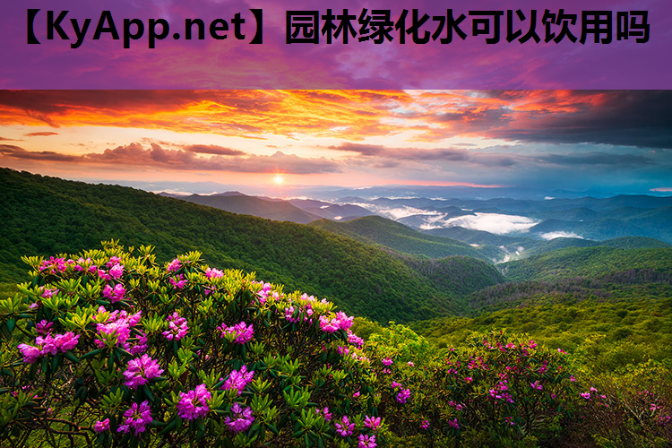 园林绿化水可以饮用吗