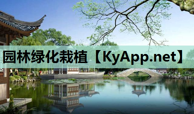 园林绿化栽植