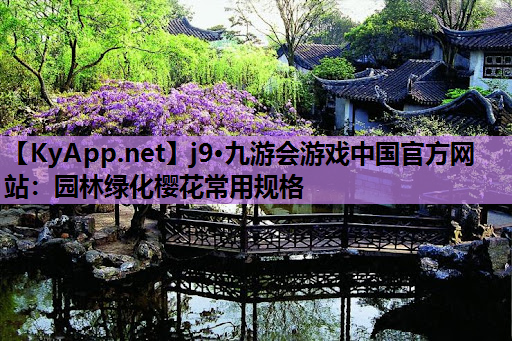 园林绿化樱花常用规格