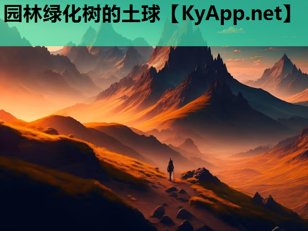 园林绿化树的土球