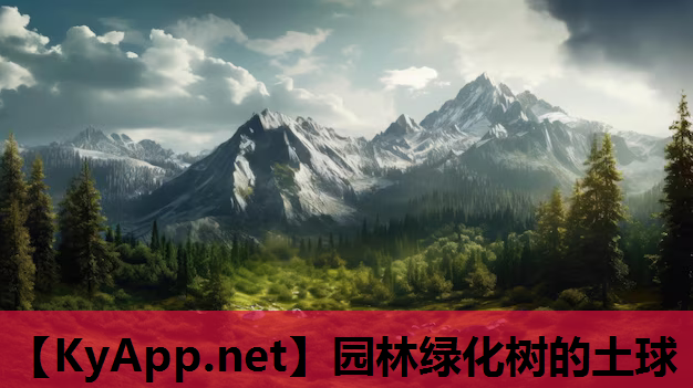 园林绿化树的土球