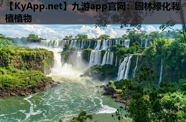 园林绿化栽植植物