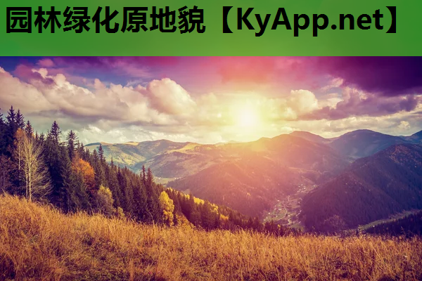 园林绿化原地貌