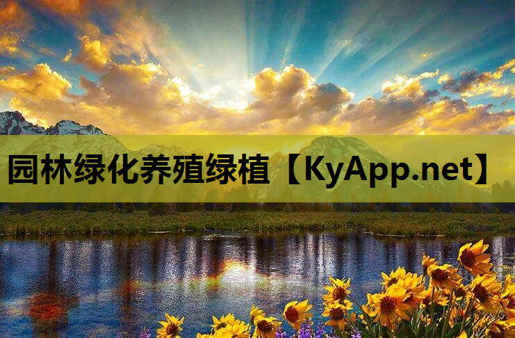 园林绿化养殖绿植