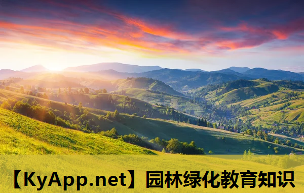 园林绿化教育知识