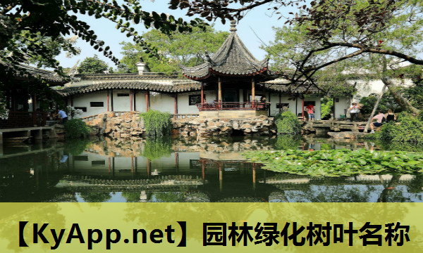 园林绿化树叶名称