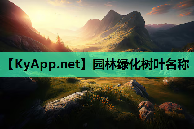 园林绿化树叶名称