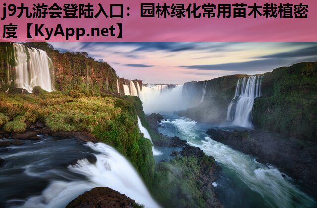 园林绿化常用苗木栽植密度