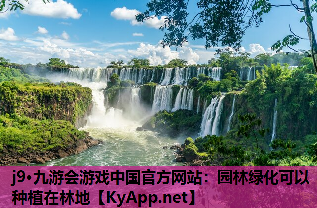 园林绿化可以种植在林地