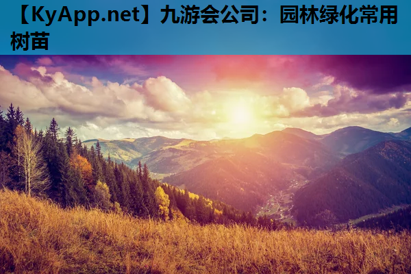 园林绿化常用树苗