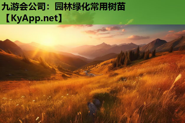 园林绿化常用树苗