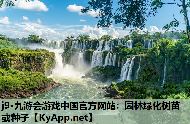 园林绿化树苗或种子