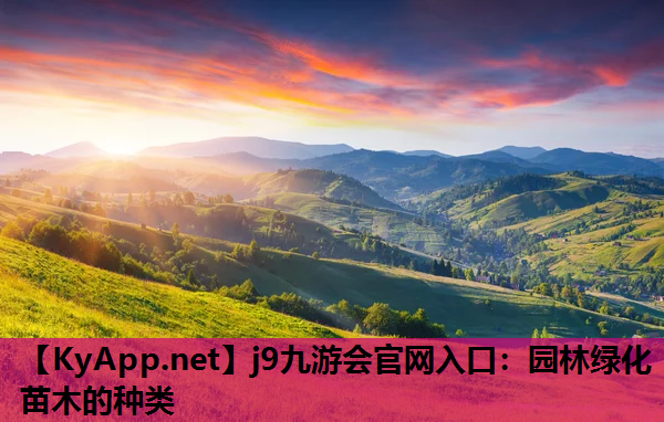 园林绿化苗木的种类