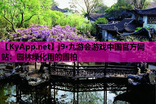 园林绿化用的圆柏