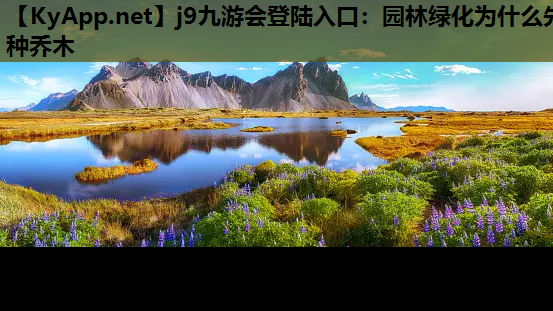 园林绿化为什么先种乔木