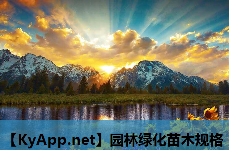 园林绿化苗木规格