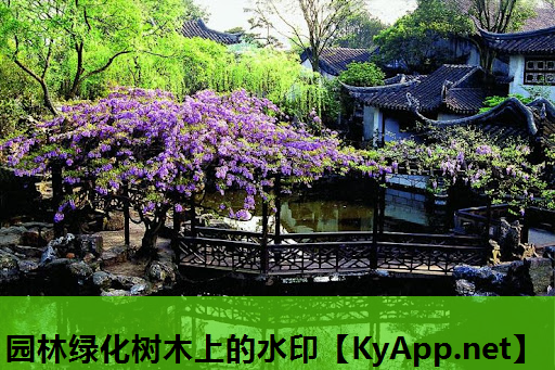 园林绿化树木上的水印