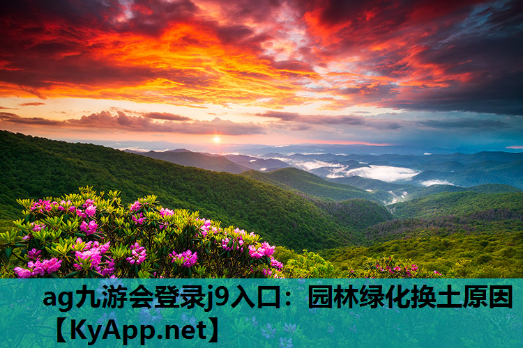 园林绿化换土原因