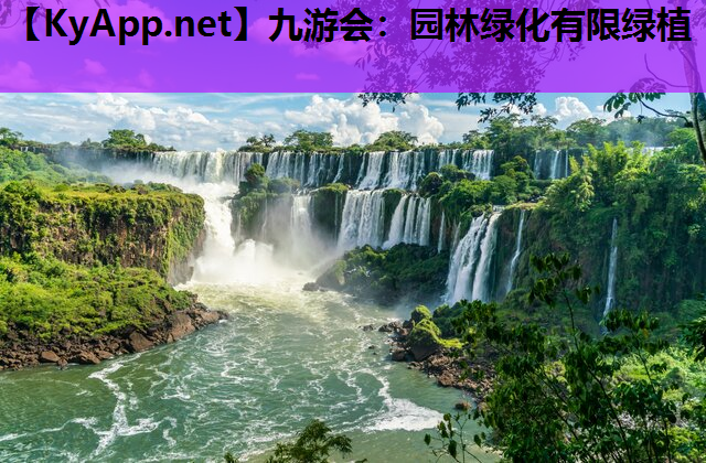 园林绿化有限绿植